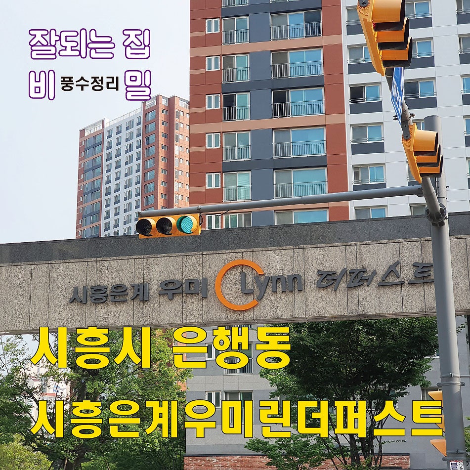 더퍼스트컨설팅 이미지
