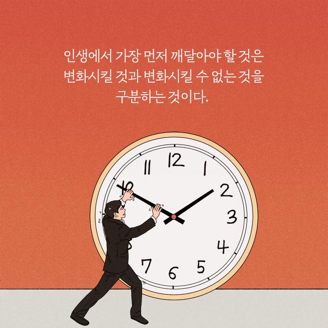 알마트 이미지