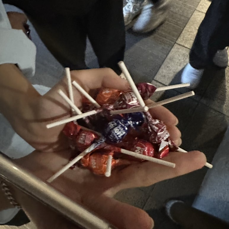 83돼지 이미지