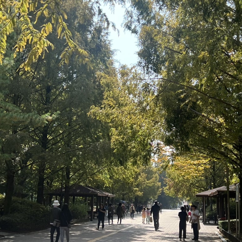 코다리밥도둑 가로수길점 이미지