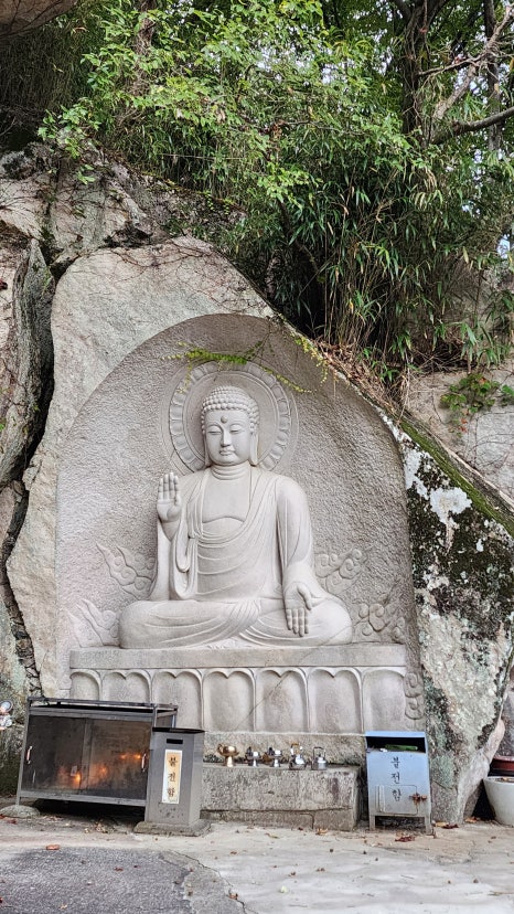 창녕꿀벌농장 이미지