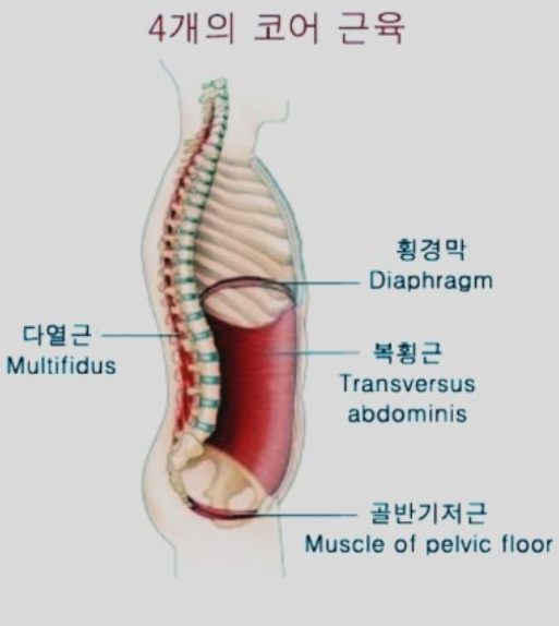 아이언짐 이미지