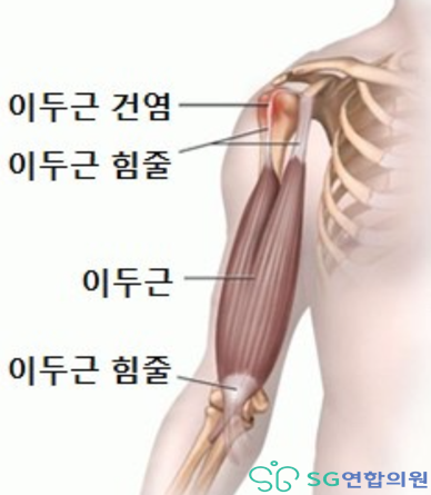 에스지연합의원 이미지