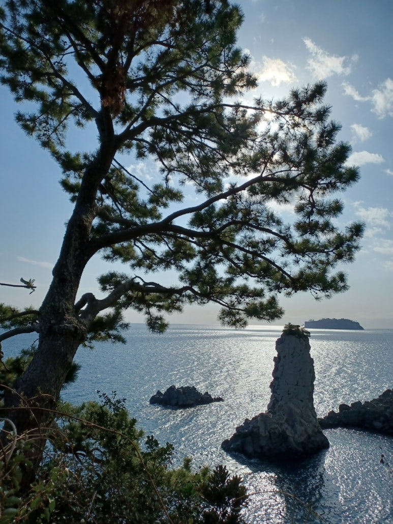 (경주·포항)해피케어 이미지