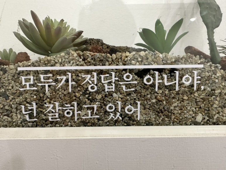 레프트뱅크성서계대점 이미지