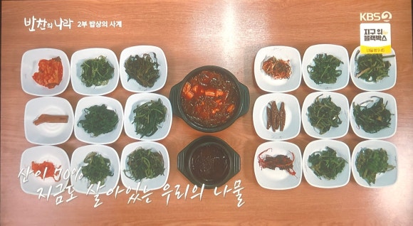 민박나라 이미지