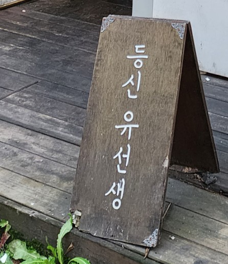 등신유선생 이미지