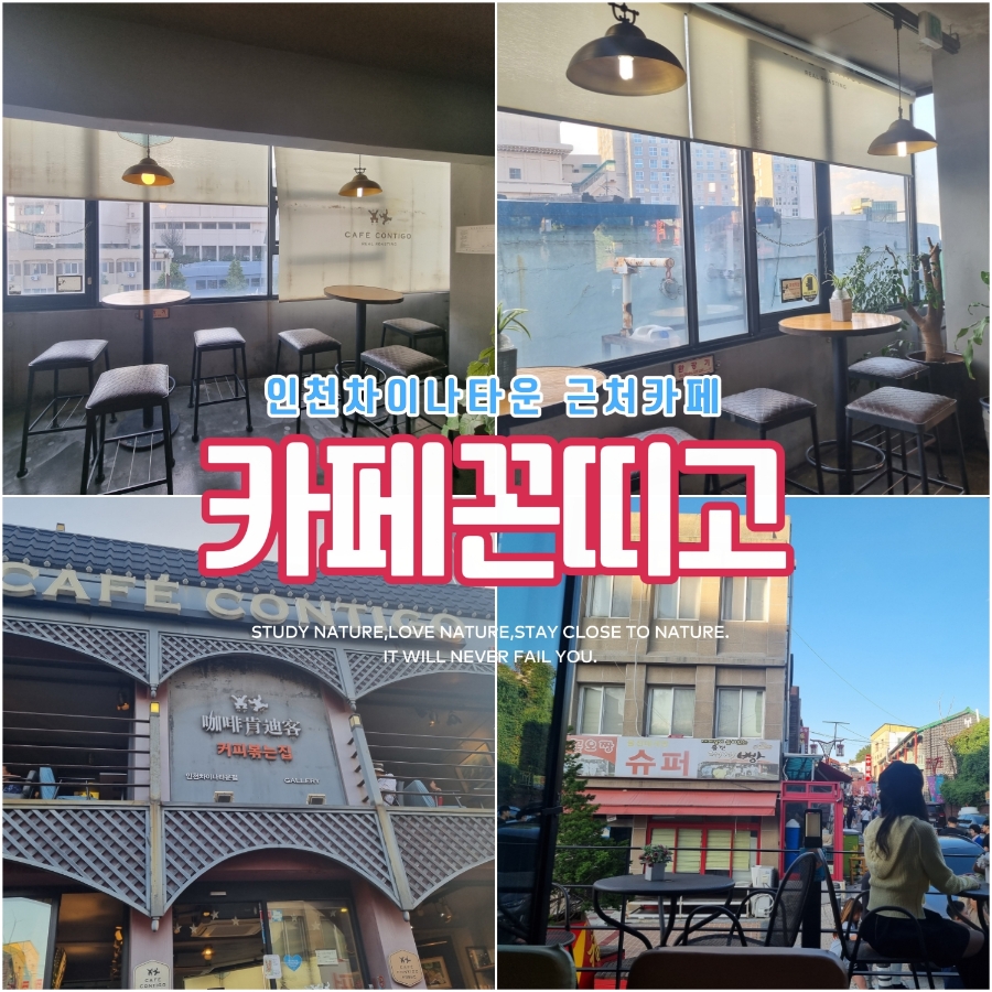 까페 꼰띠고 인천차이나타운점 이미지