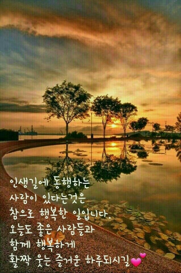 오토피아타이어 이미지