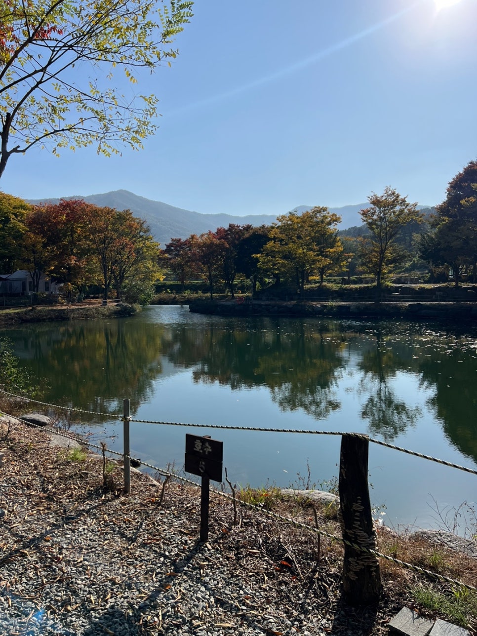 유명산밸리캠핑장 이미지