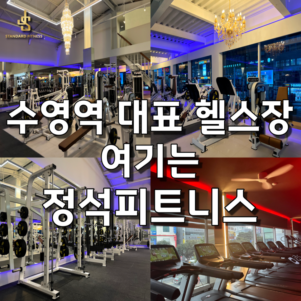 정석피트니스 이미지