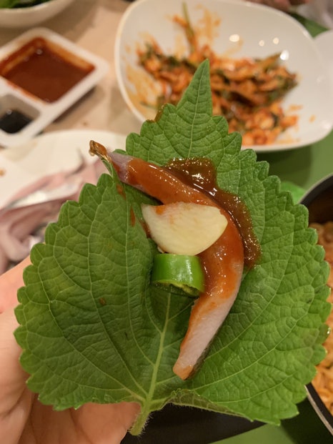 수광호 이미지