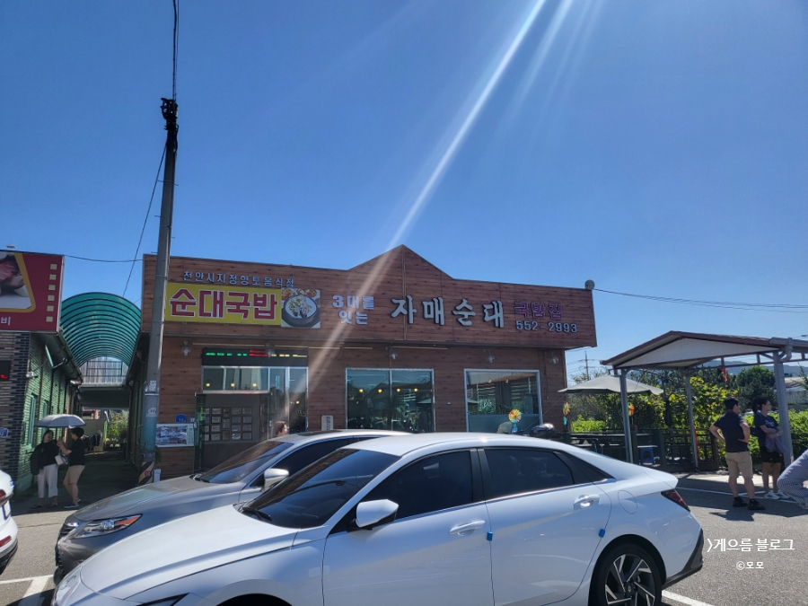 삼대를잇는자매순대 이미지