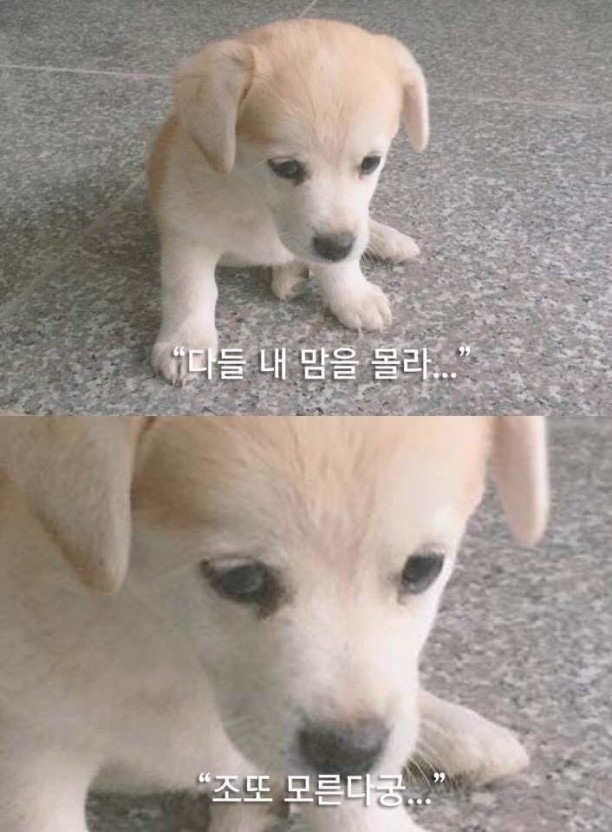 없음 이미지