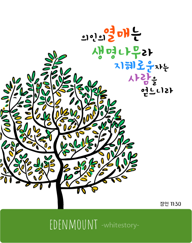 (주)생명나무 이미지