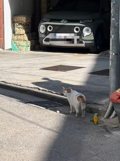 상원정육점 이미지
