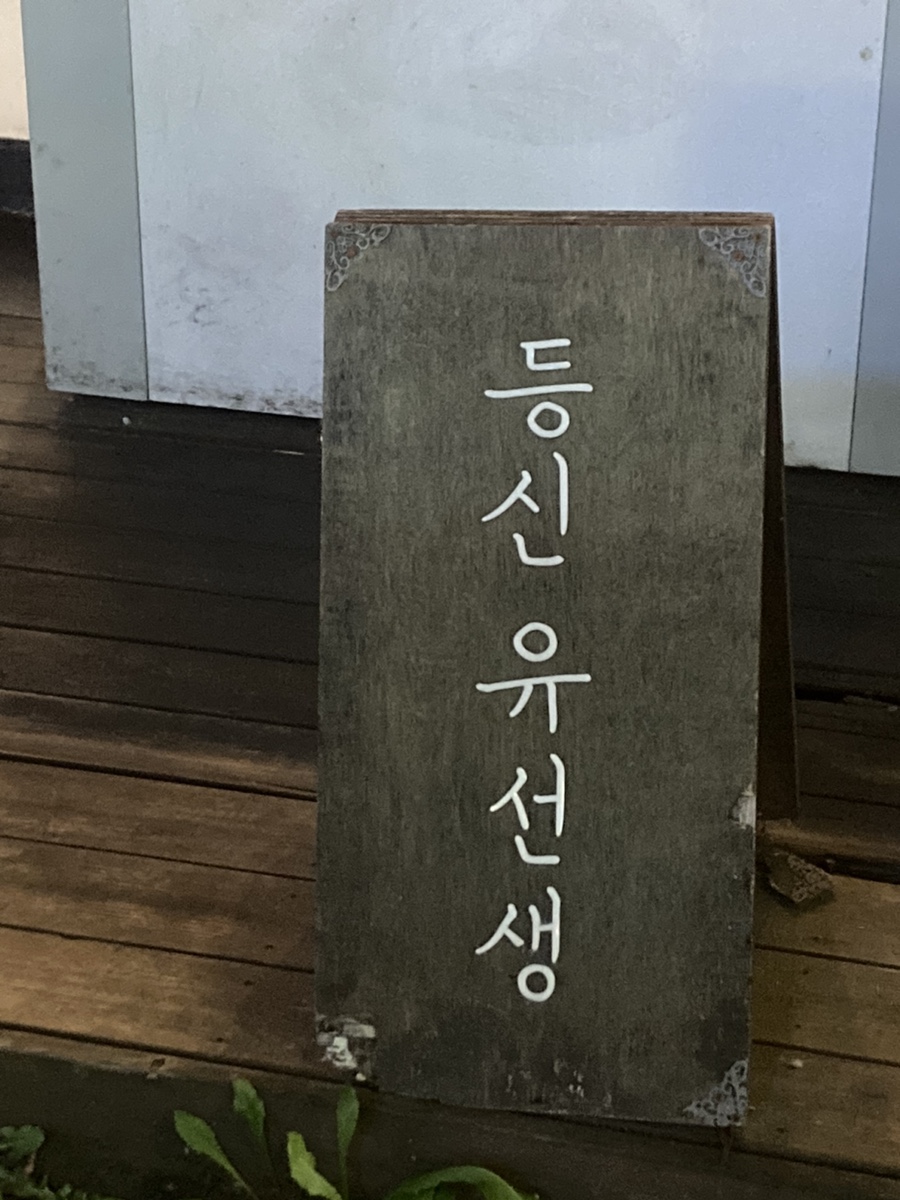 등신유선생 이미지