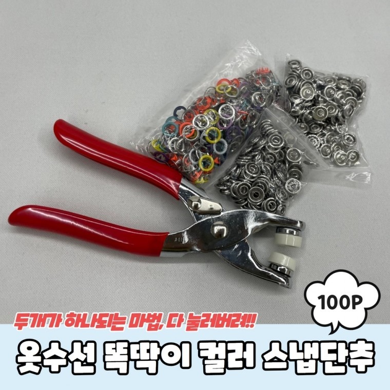 지지수선 이미지