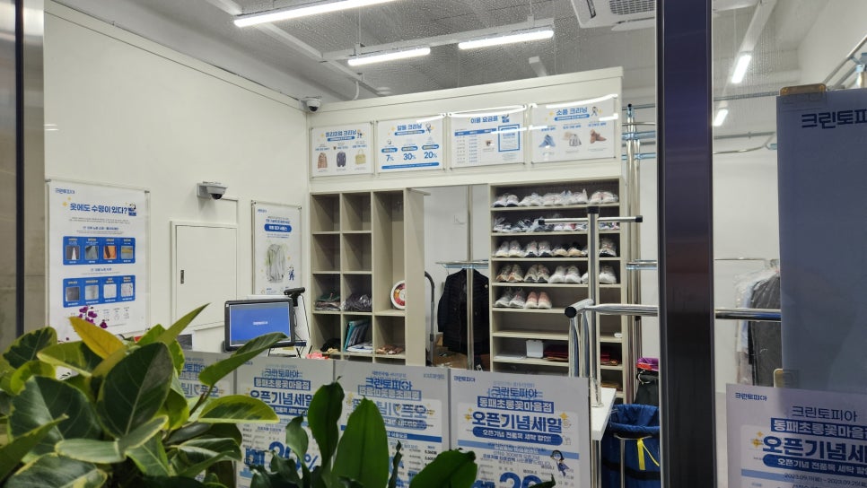 크린토피아동패초롱꽃 이미지
