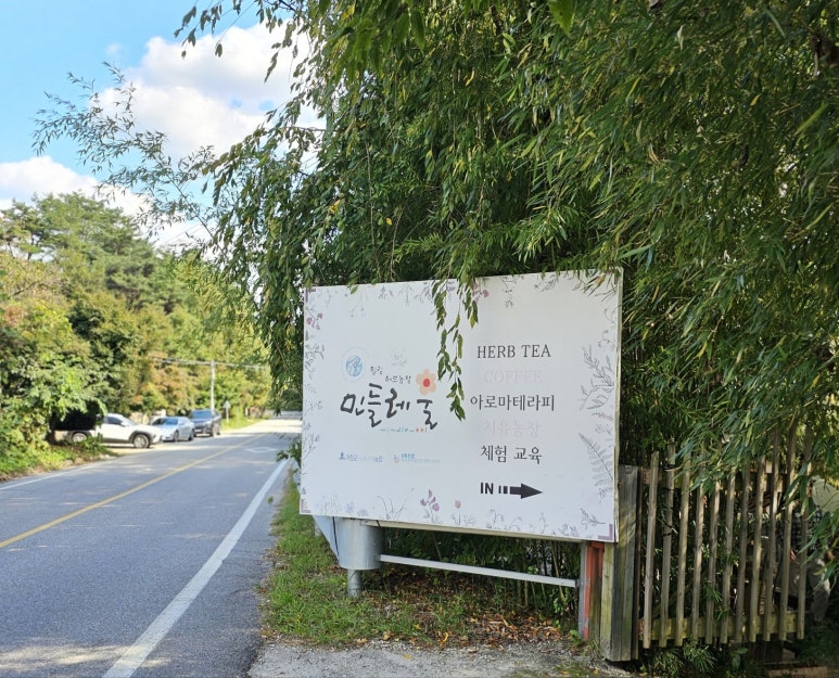 민들레카페 이미지