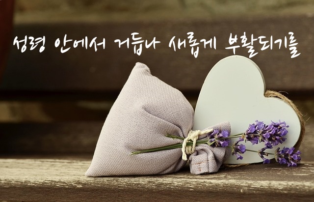 혼도(주) 이미지
