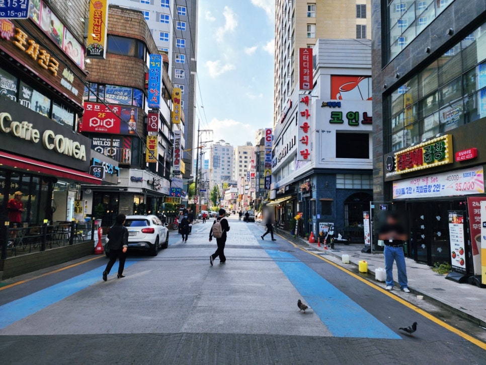 파랑새노래연습장 이미지