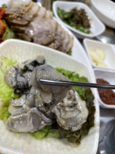 마산아구찜，굴 이미지