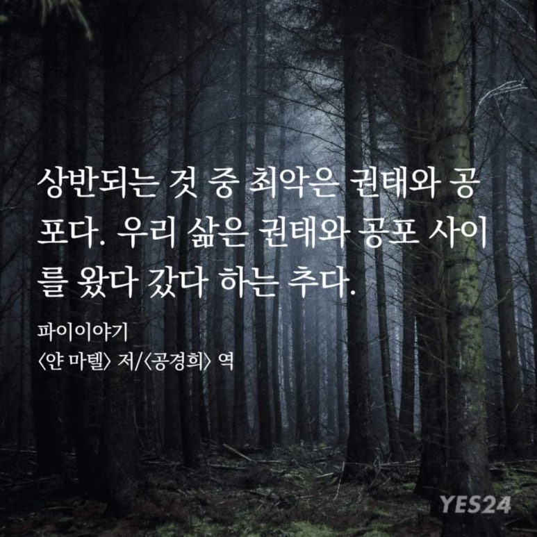 호랑이파이 이미지
