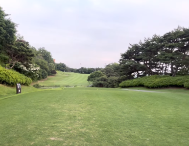 (주)캐슬렉스제주 이미지