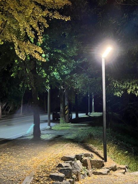 레포레스트(REFOREST) 이미지