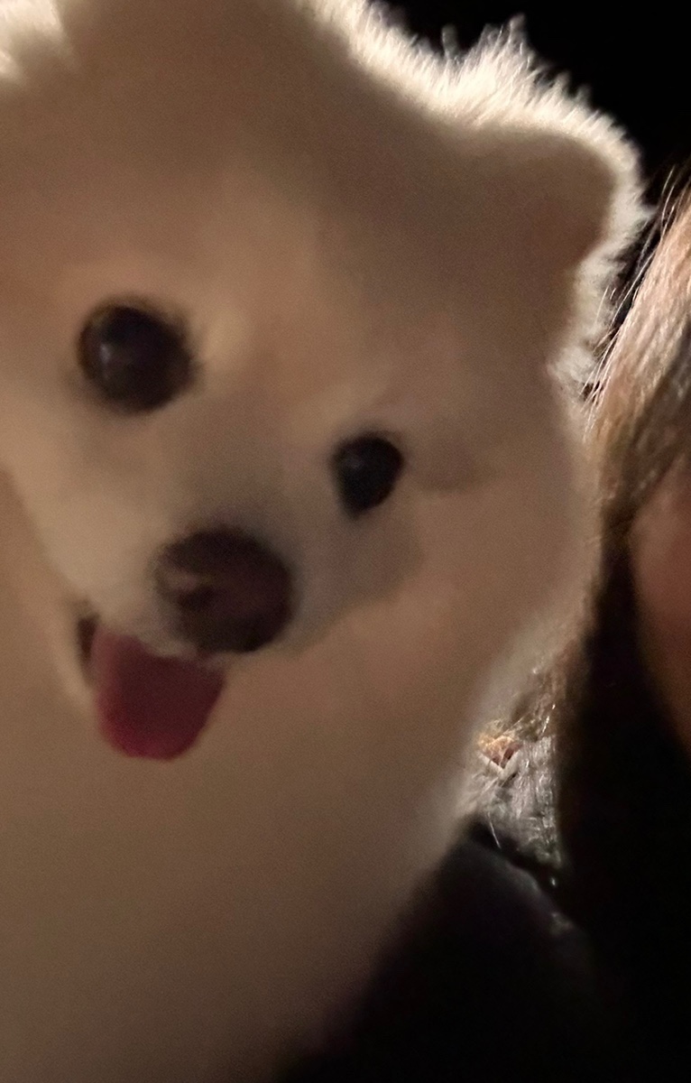 광양 해뜰 오토 캠핑장 이미지