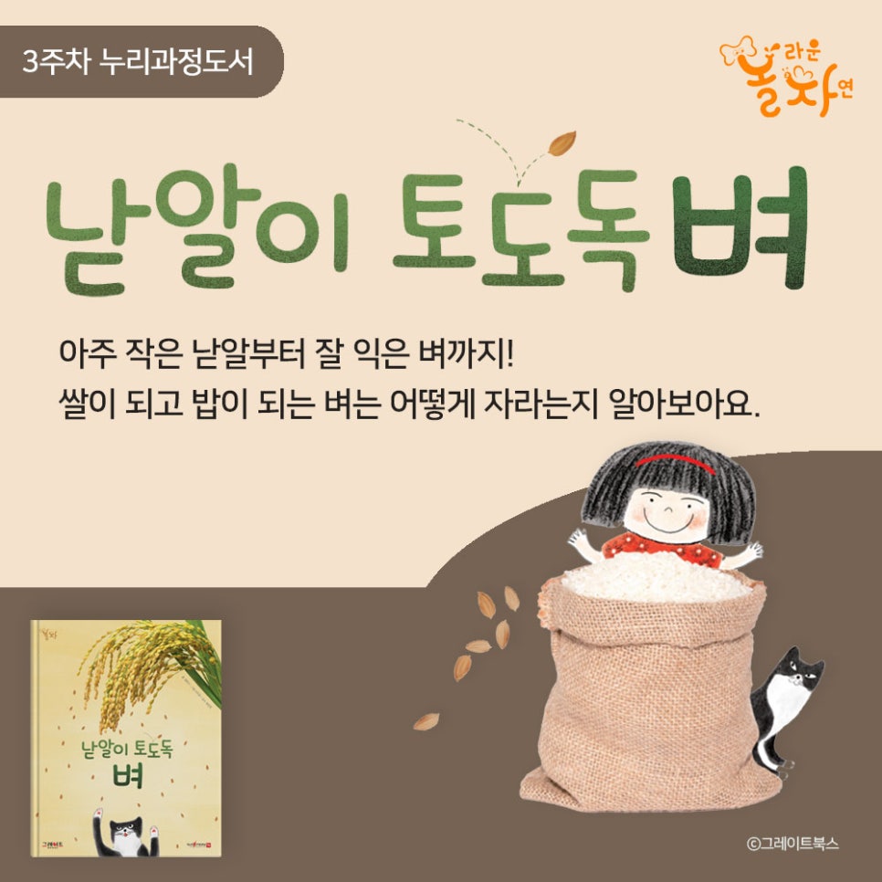 세종대왕어린이서점세종어린이서점 이미지