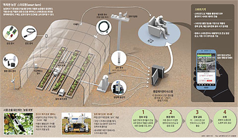 식물농장 이미지