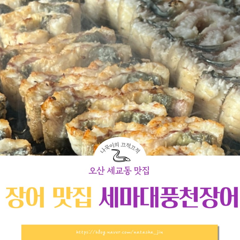 세마대풍천장어 이미지