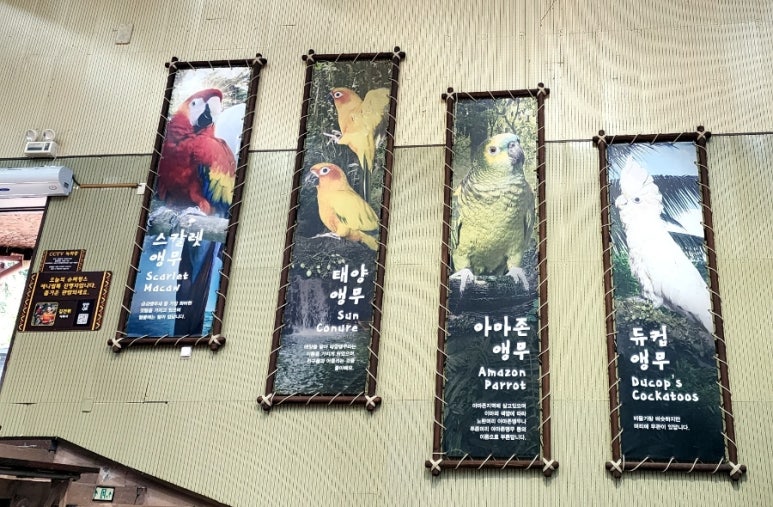 새들슈퍼 이미지