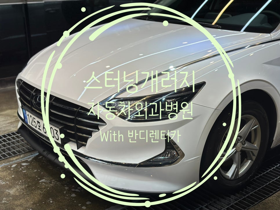 스터닝개러지성남 이미지
