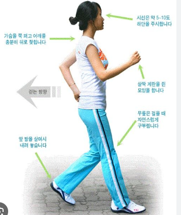 프로핏97 이미지
