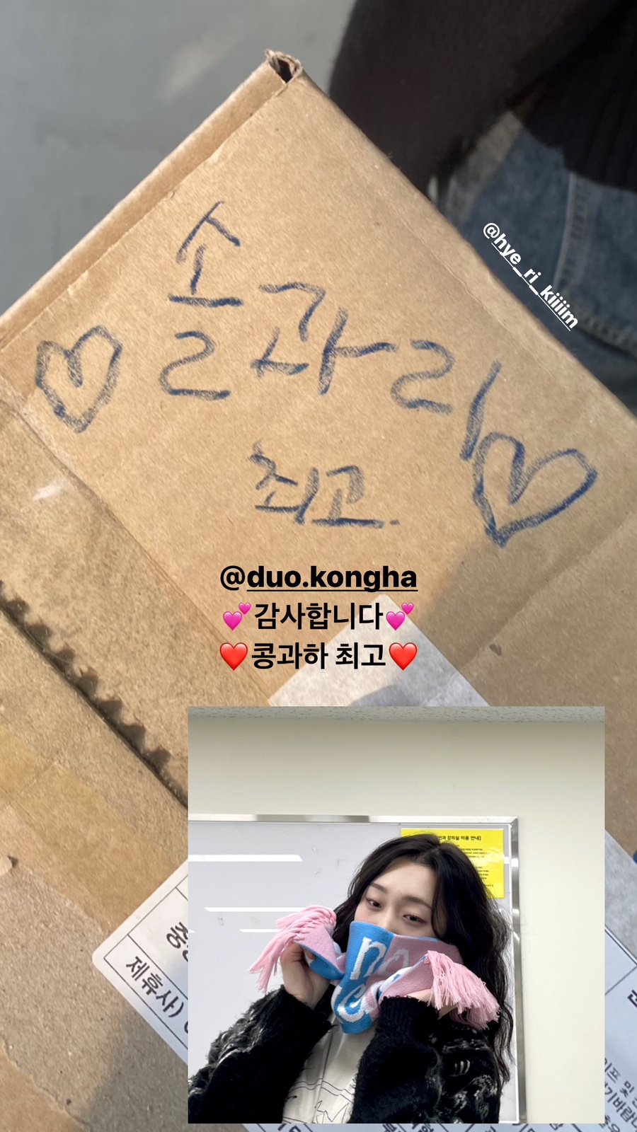 콩과하 이미지