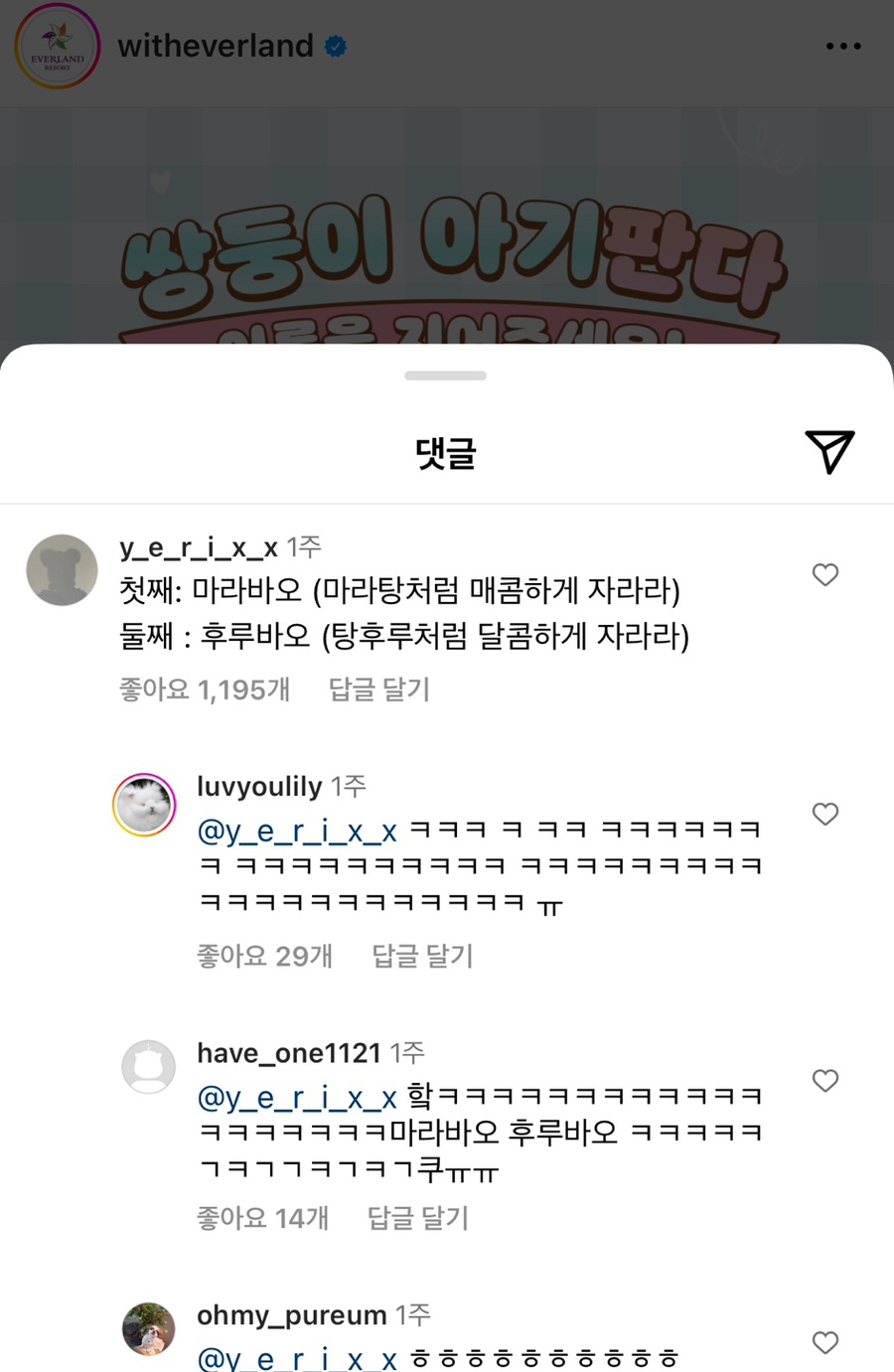 마라바오 이미지