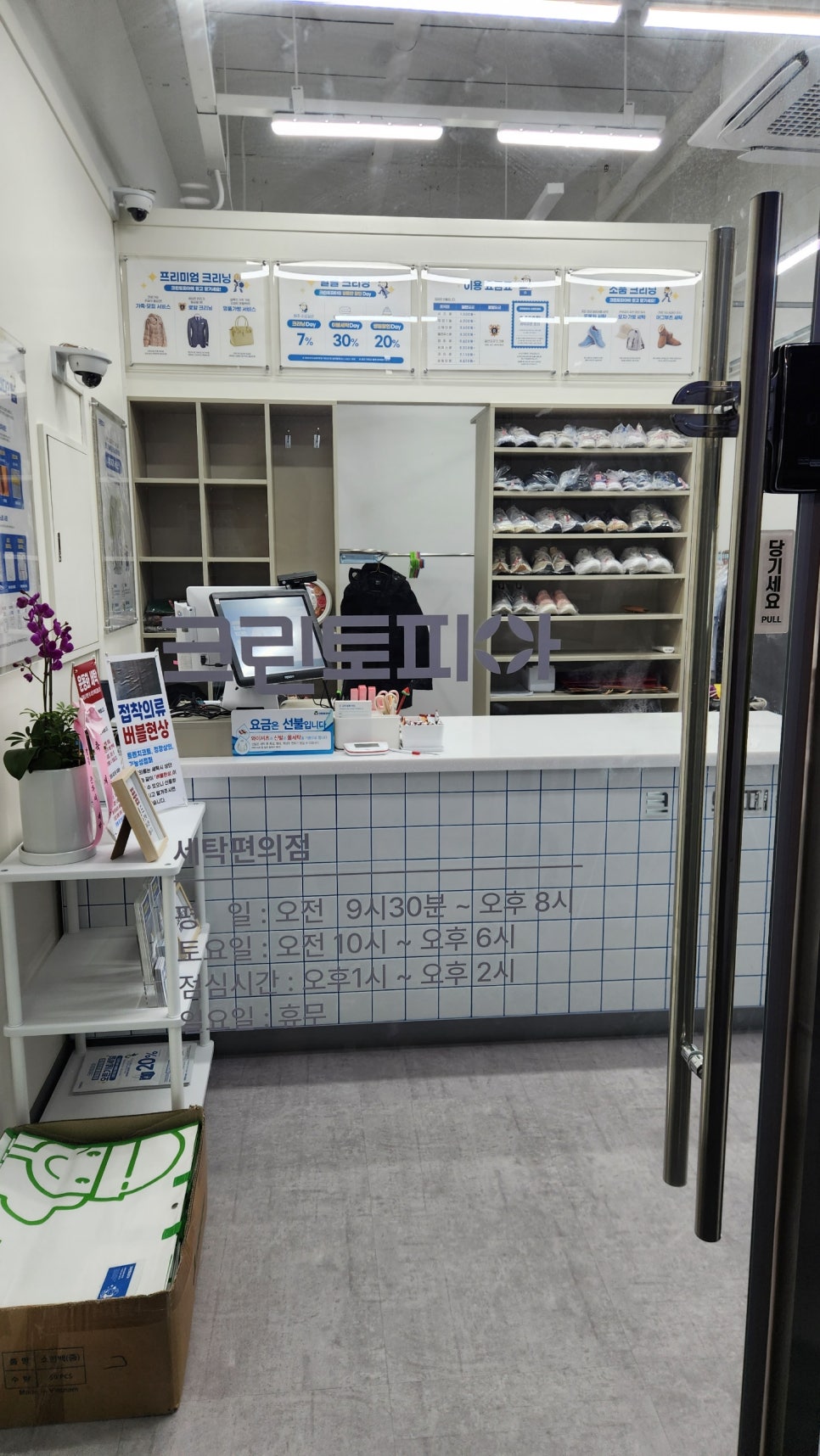 크린토피아동패초롱꽃 이미지
