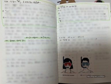 영스포츠타운 이미지