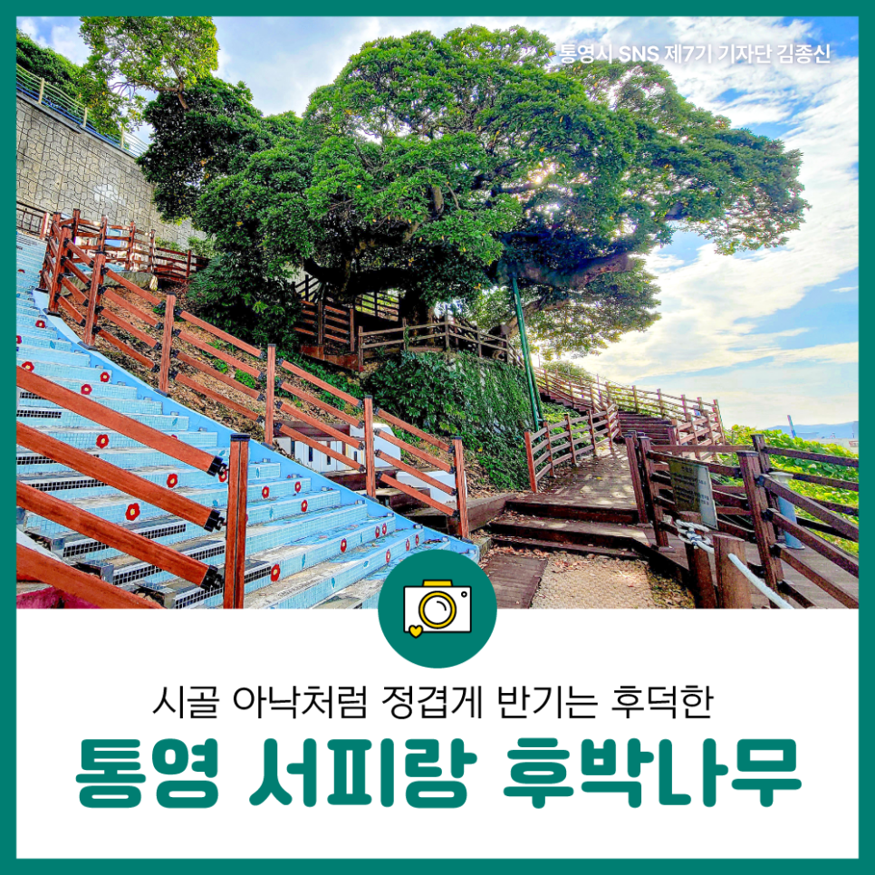 나무아낙 이미지