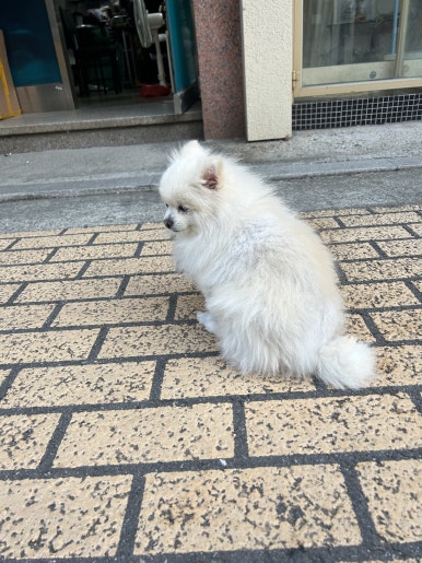 대창세탁소 이미지