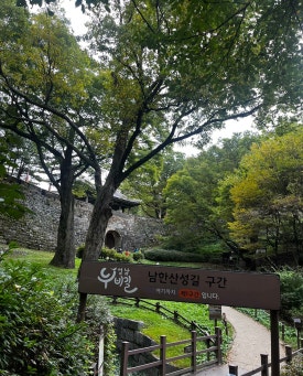 네파남한 이미지