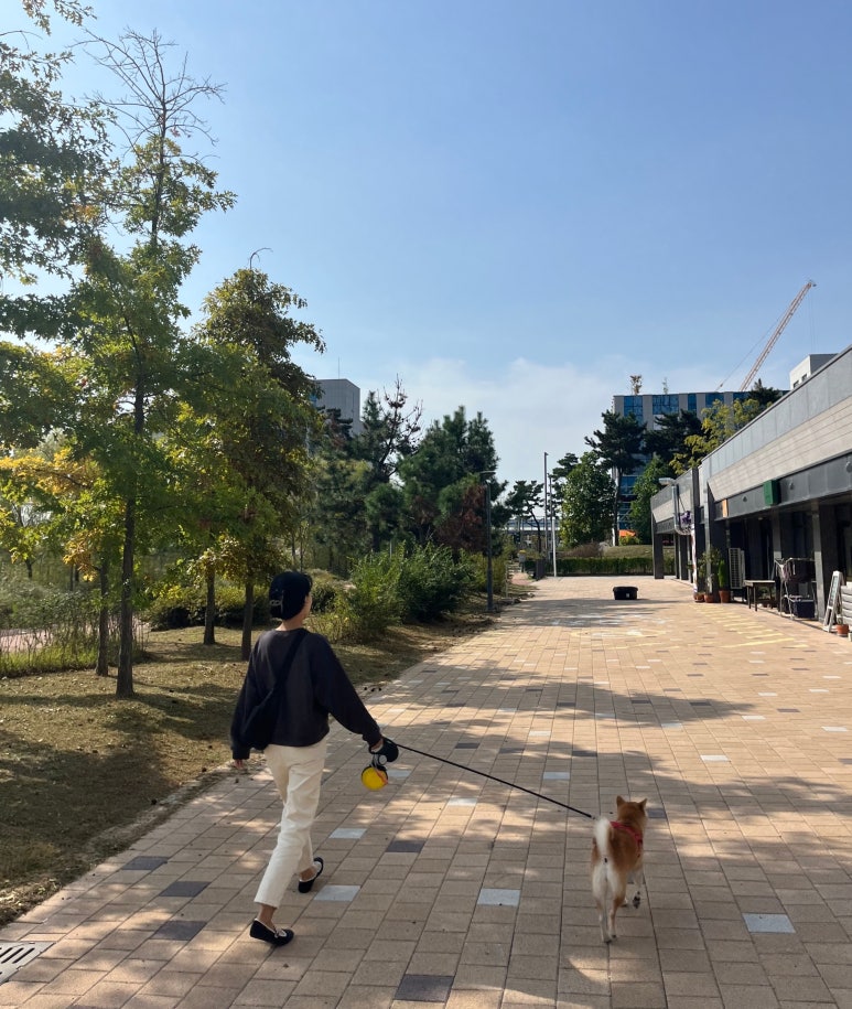 이니그마하우스 이미지