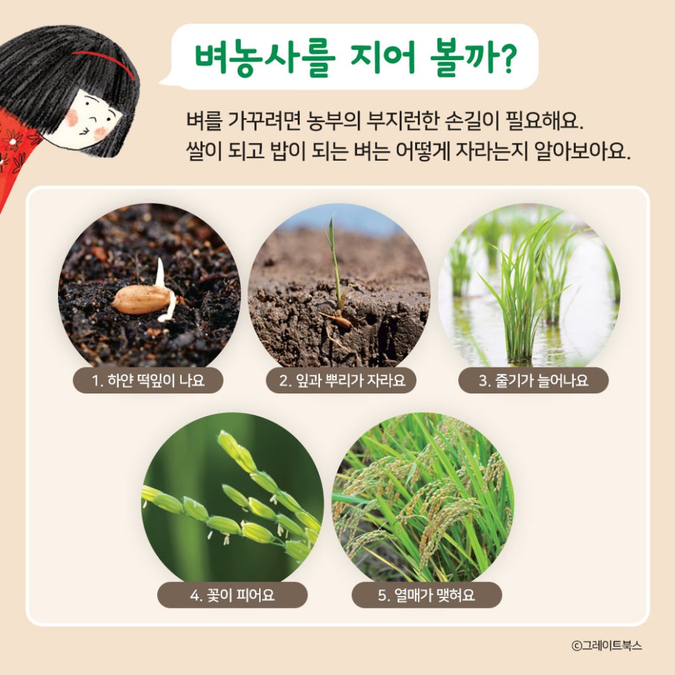 세종대왕어린이서점세종어린이서점 이미지