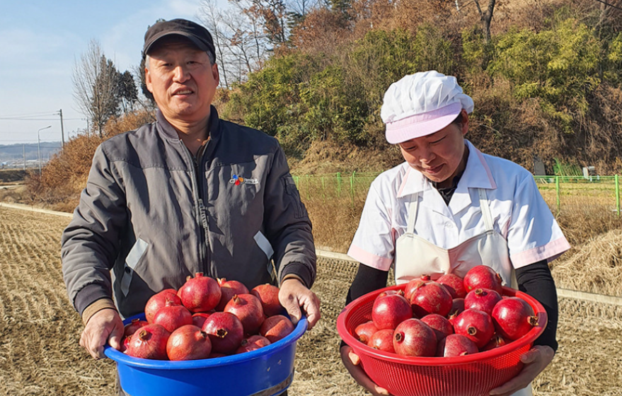 강화농부이씨 이미지