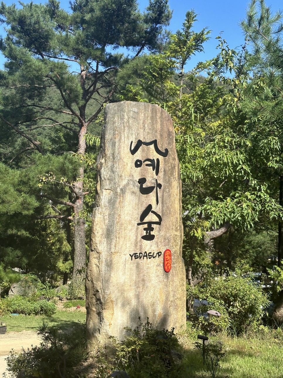 아떼에르 인 예다숲 이미지