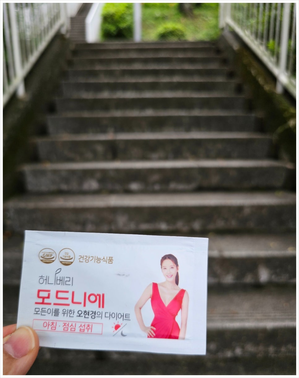 모드니에 이미지