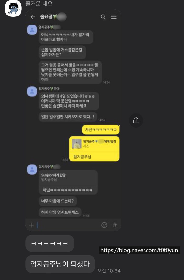 영스포츠타운 이미지